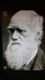 source photo George Darwin