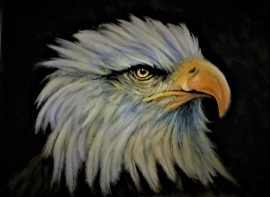 Bald eagle commissioned by Betty James