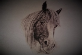Cowhorse Barney commission