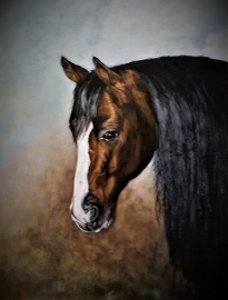 world class reining horse owned by Brian Knutson